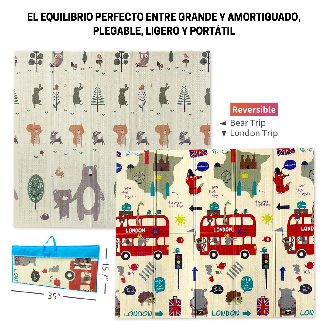 #Color_Ciudad-Oso